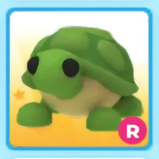 turtle r