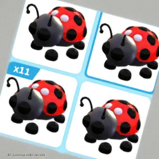 LADYBUG X16
