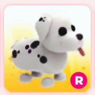 DALMATIAN R (ADOPT ME)