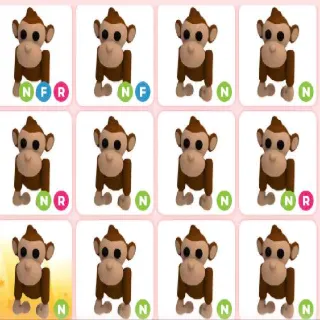 MONKEY NEON X14