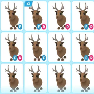 x42 REINDEER