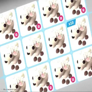 LAMB X16