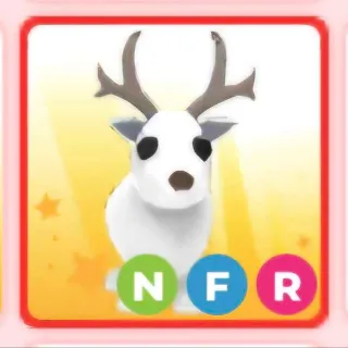 artic reindeer nfr