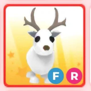 fr artic reindeer