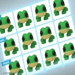 FROG X16