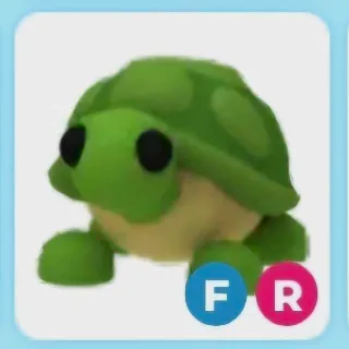 FR TURTLE (ADOPT ME)