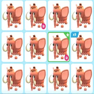 X24 WOLLY MAMMOTH
