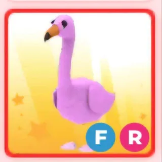 FR FLAMINGO (ADOPT ME)