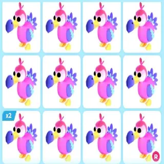 x16 DODO (Adopt Me)