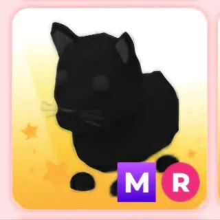 black panther mr