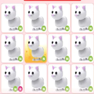 NEON SNOW CAT X33