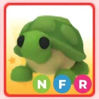 nfr turtle