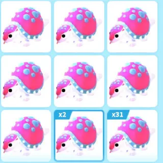 X43 Glyptodon (Adopt Me)
