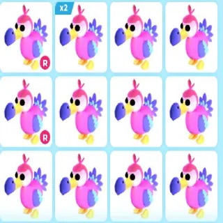 x16 DODO (Adopt Me)
