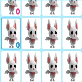 ALBINO BAT X12
