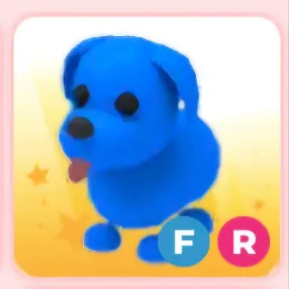 blue dog fr