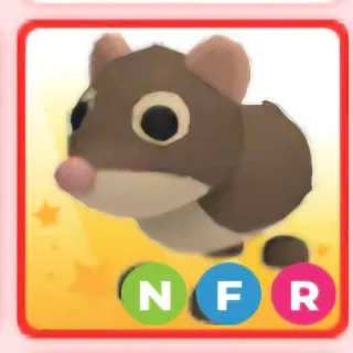 nfr shrew