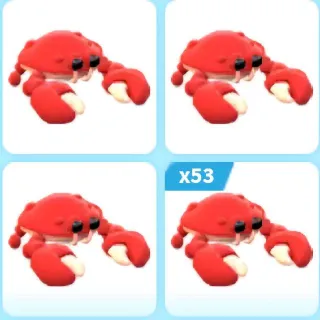 X62 CRAB (Adopt Me)