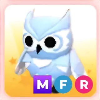 MFR SNOW OWL