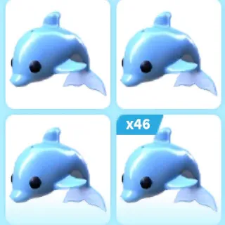 X55 Dolphin (Adopt Me)