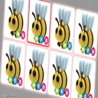 NFR BEE X11