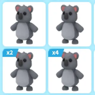 x11 KOALA (Adopt Me)
