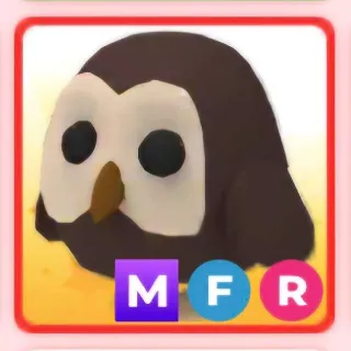 MFR OWL (ADOPT ME)
