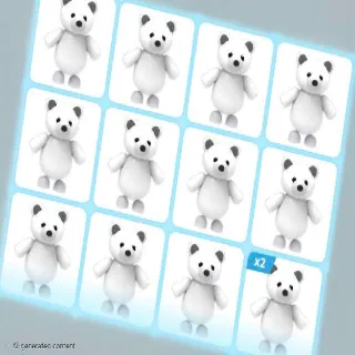 POLAR BEAR X15