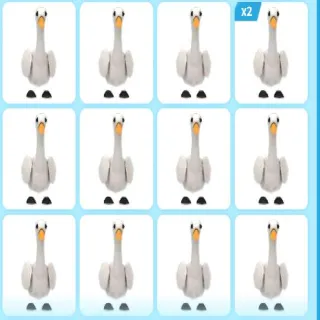 x16 SWAN (Adopt Me)