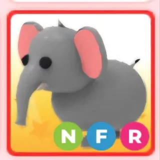 elephant nfr