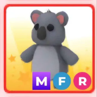 koala mfr