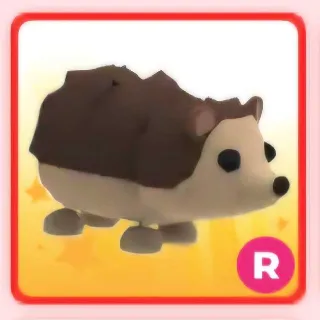R HEDGEHOG