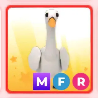 swan mfr