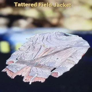 Tattered Field Jacket