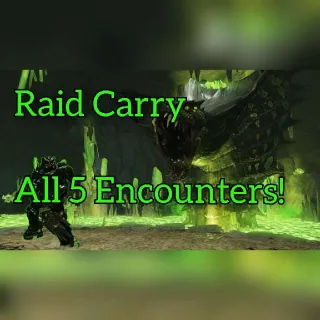 Raid Carry Completion