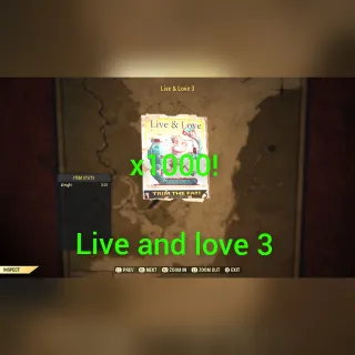 Live and love 3