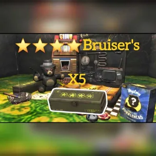 Bruisers