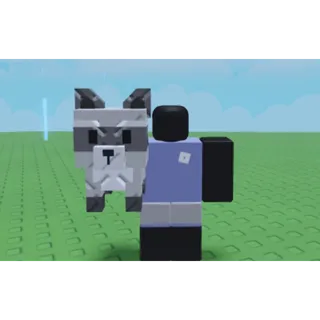 Grow a garden 2 - raccoon 
