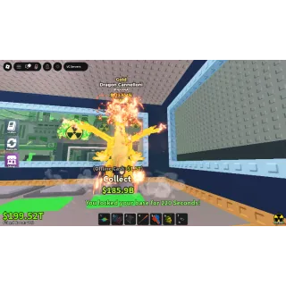 DRAGON CANELONNI - GOLD  - 312.5M/s 