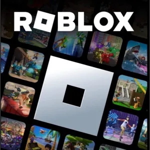 25$ Roblox 