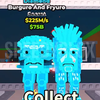 225M/s Diamond Burguro and Fryuro