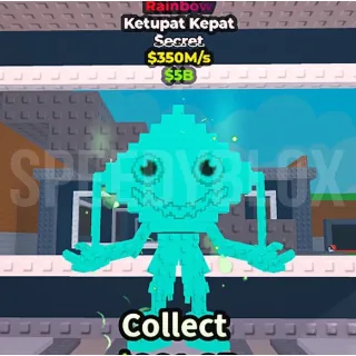350M/s RAINBOW Ketupat Kepat