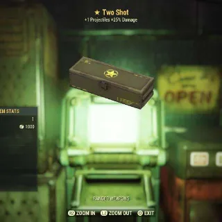 Two Shot Mod Box