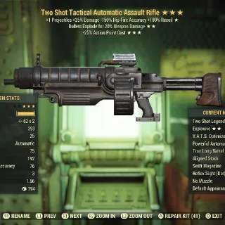 TSE25 Assault Rifle