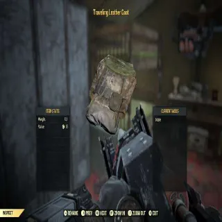 Traveling Leather Coat