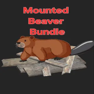 Mounted Beaver Bundle