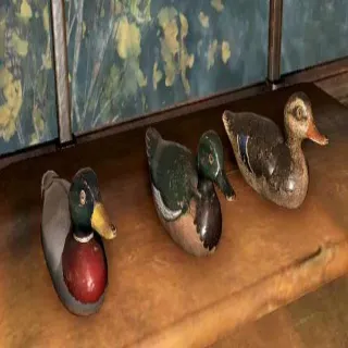 Decoy Ducks Plan
