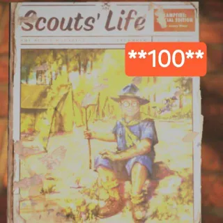 100 Scouts Life 9