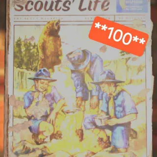 100 Scouts Life 7