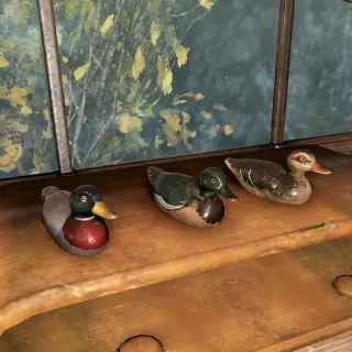Plan Decoy Ducks